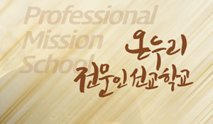 professional_mission