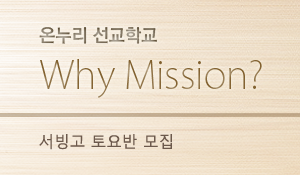 whymission_S_w