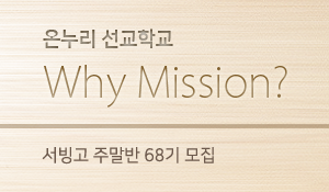 17whymission_s_s